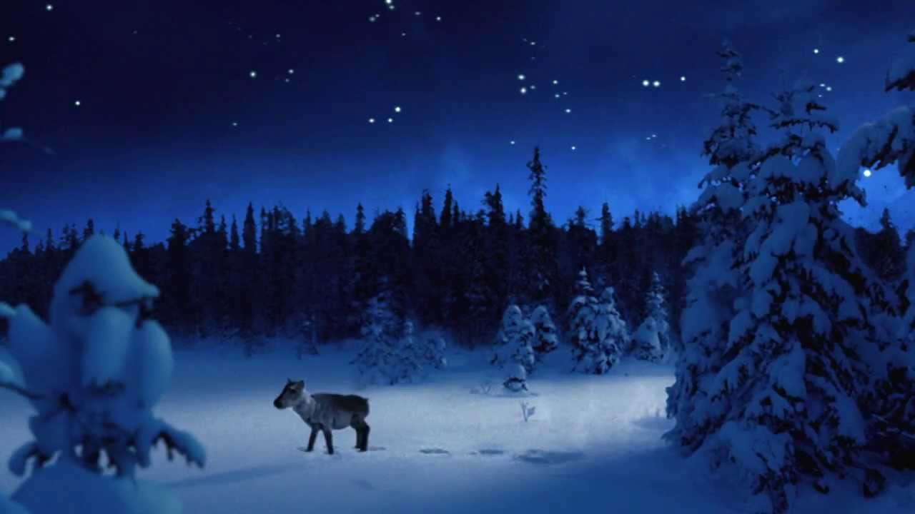 Poro ja tähti | Finnair
