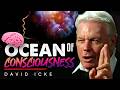 Consciousness: The Hidden Connection to All Humanity - David Icke