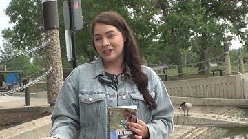 Promo Water Testing Kit