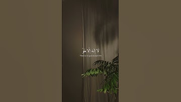 تلاوه من سورة القصص|بصوت الشيخ محمد المنشاوي🎧♥️ #trending #قرآن  #quran #قران_كريم