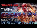 映画批評 スパイダーマン ノー ウェイ ホーム 高橋ヨシキ てらさわホーク 柳下毅一郎 ネタバレ 映画批評 スパイダーマン ノー ウェイ ホーム 高橋ヨシキ てらさわホーク 柳下毅一郎 ネタバレ
