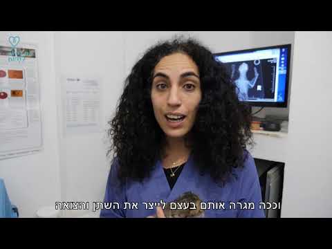 מה עושים כשמוצאים גורי חתולים יונקים?