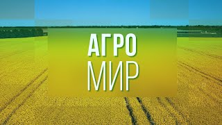 МЕХДВОР - ТЕРРИТОРИЯ КОМФОРТА