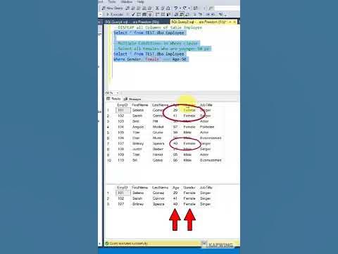 SQL: Multiple Conditions in WHERE Clause using AND Operator - YouTube