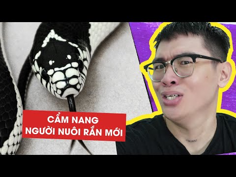 Video: Rắn ngô: Vật nuôi trong nhà dễ chăm sóc