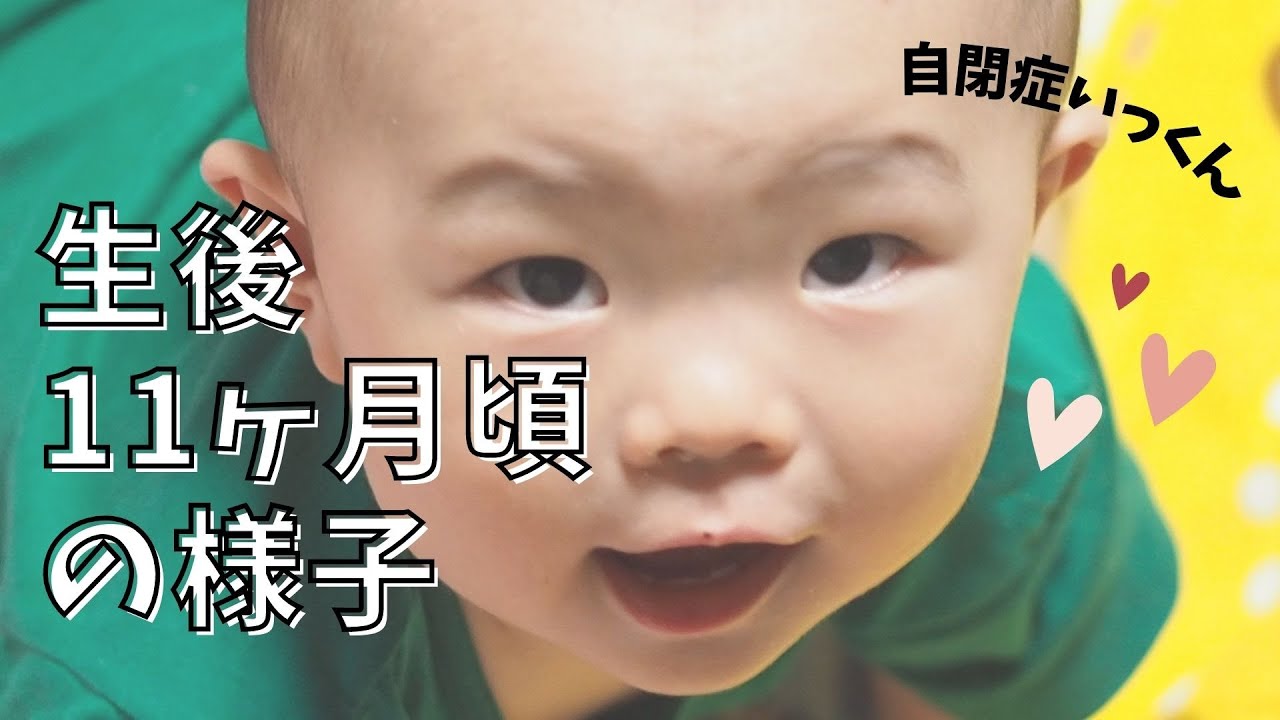 自 閉 症 赤ちゃん の 頃 の 様子