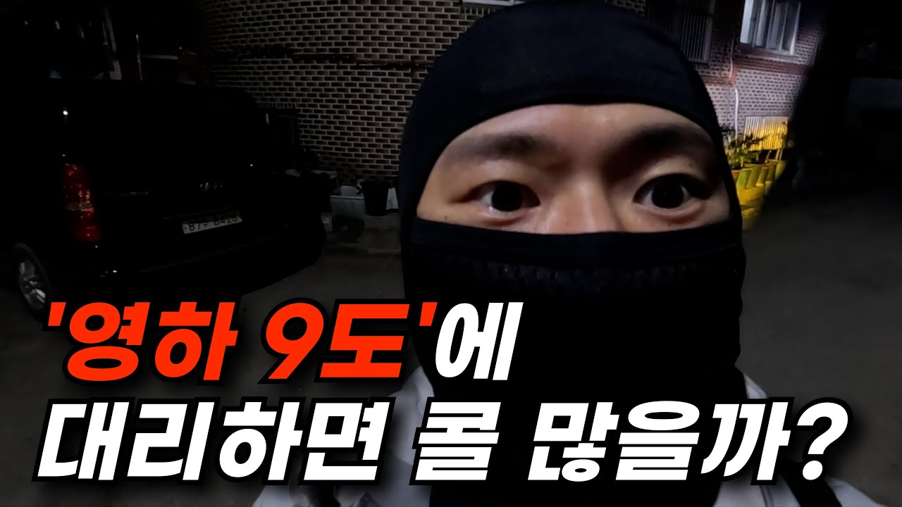 대리운전 수익을 위해 영하9도에 일하면 이렇게 됩니다