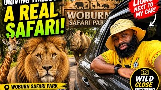     The UK’s Wildest Safari !!  Driving through Woburn Safari Park Adventure! 🇬🇧@Bennyspassport 