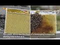 Robotic Beehive Warms Chilled Bees