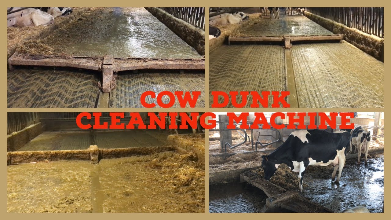 COWDUNK CLEANING  MACHINE | RASCHIATORE | FARMERS LIFE