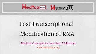 Post Transcriptional Modification of RNA screenshot 1
