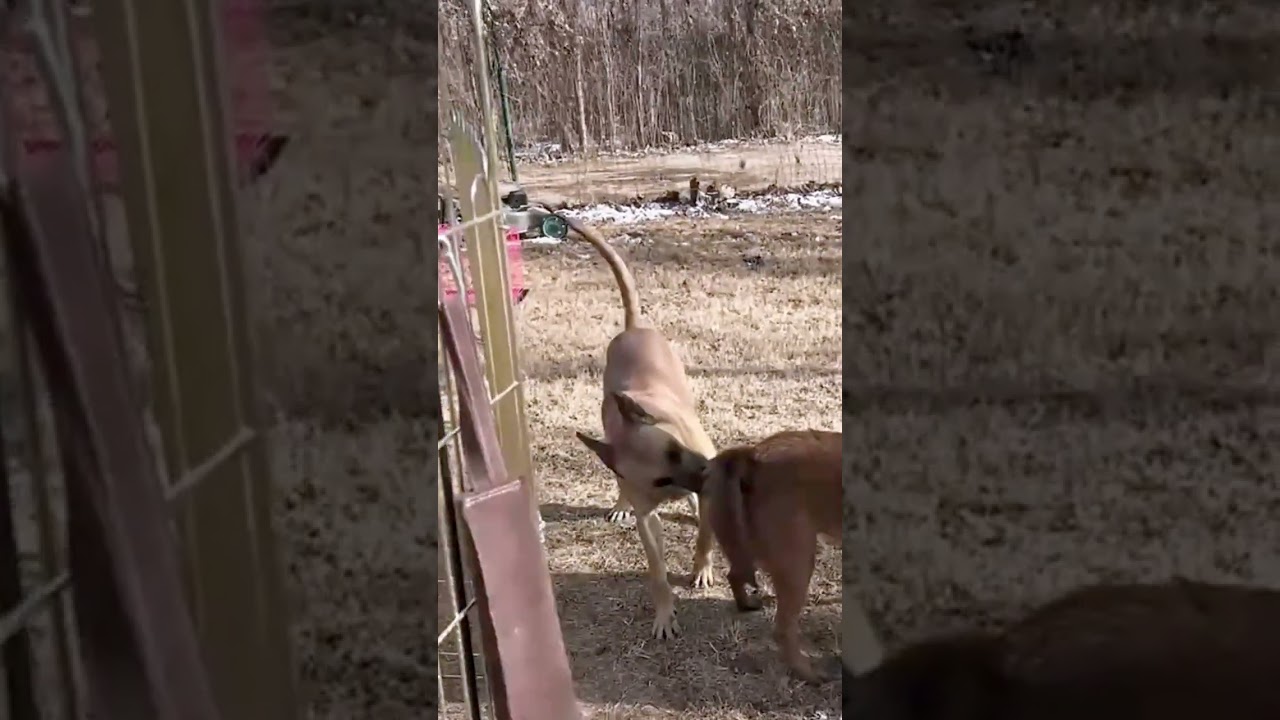 Continuing training for the future& 1