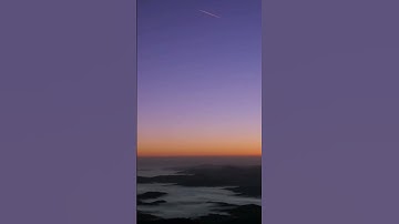 سورة المسد ماهر المعيقلي Sheikh Maher Al-Muaiqly