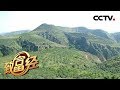 《致富经》三年“赌”一局 他把荒山变金山 20190522 | CCTV农业