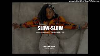 Afrobeat x Dancehall Type Beat 2023 Instrumental "Slow Slow"