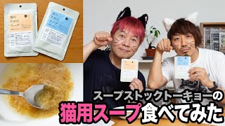 猫のためのスープを人間が食べてみた！スープストックトーキョー発売の本格スープをレビュー【のじまちゃんねる】