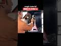 【TikTok】禁断のネタ明かし。magic tutorial.