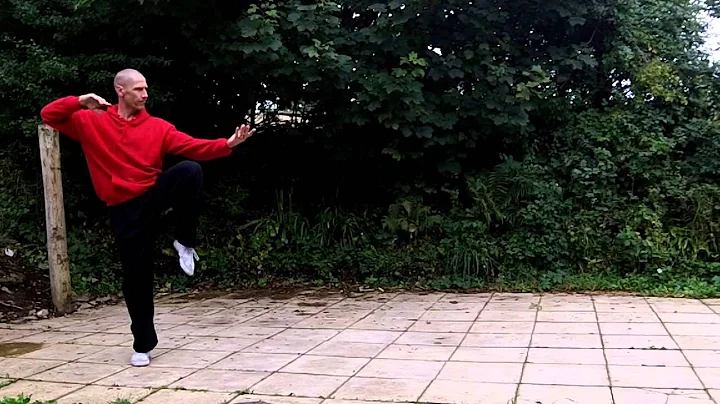 Spontaneous Tai Chi by Michael Henley