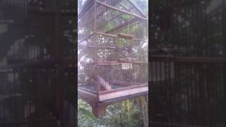 Download Lagu Pentet suara sendal anak MP3