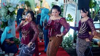 DON'T WAIT FOR LONG - DSM MUSIC - MARGO MULYO AUDIO