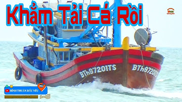 🔴 Tiếp Tục Ghe Lưới Bao về Khẳm Tải || Bình Thuận Dấu Yêu