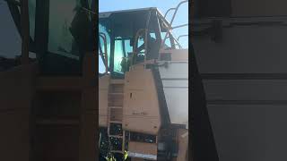 IMG 5218