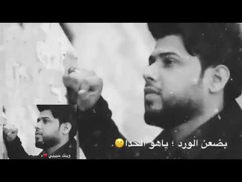 سيد فاقد الموسوي ينشدوني عنك وبتسم وينك حبيبي صوت روعه