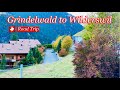 🇨🇭Grindelwald to Wilderswil ,  heavenly beautiful Road Trip In Switzerland | Swiss Village