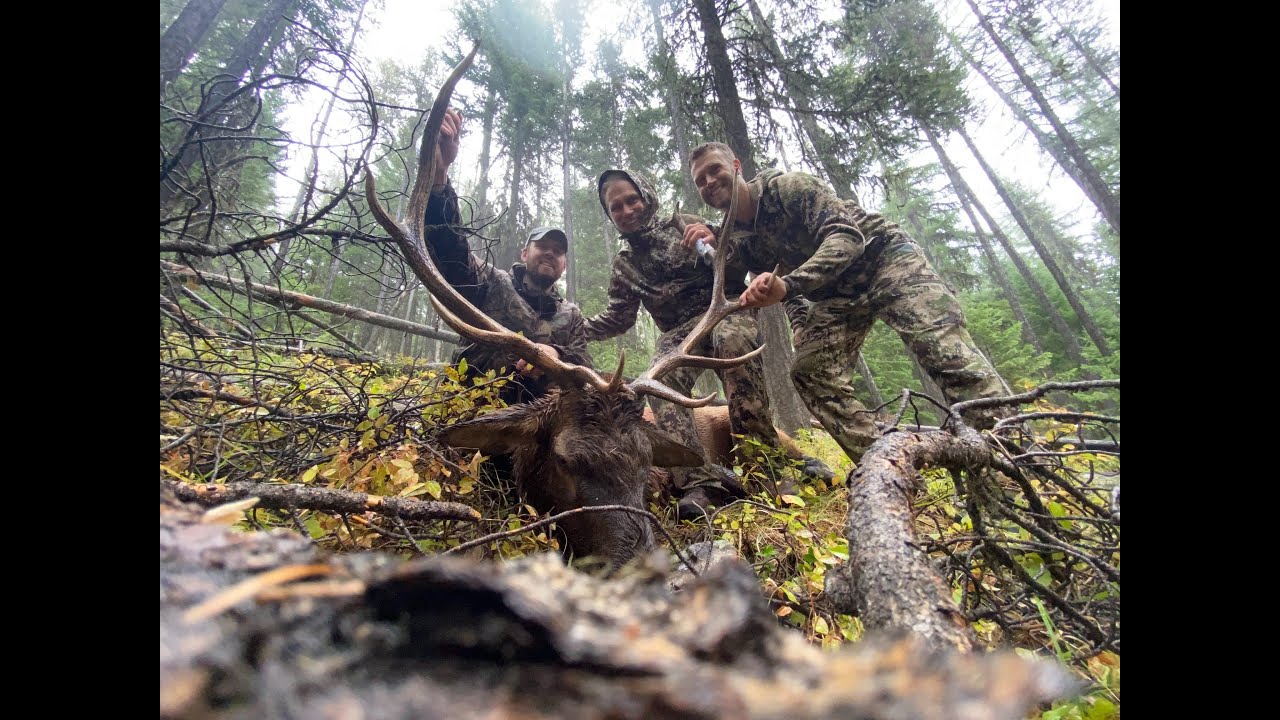 Sanders Montana Archery Elk Hunt YouTube
