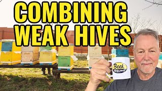 Beekeeping | How To Combine A Weak Hive