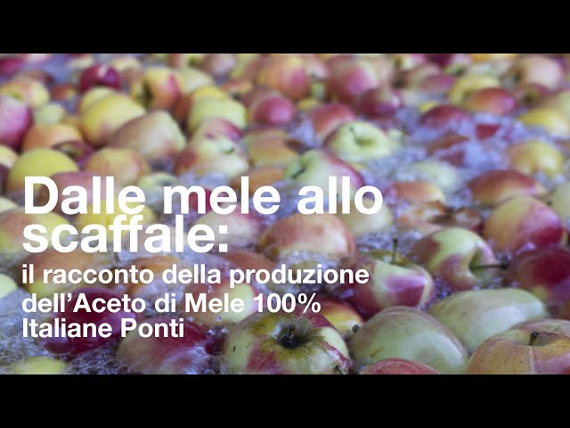 Ponti — Ponti: video sulla filiera dell'Aceto di Mele e progetto Bee my Future — anteprima video su YouTube