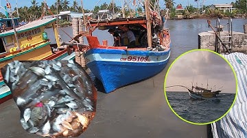 Thất Mực, Một Trăng Đầy Sóng Và Gió|Câu Mực Biển Tây