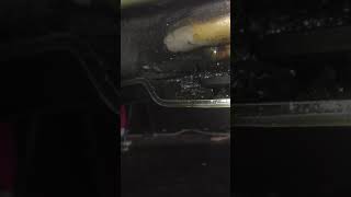 2003 Hummer H2 Oil leak help needed