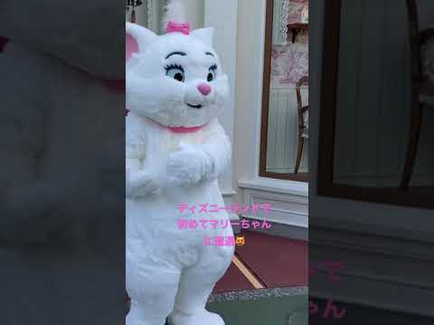 ディズニーランドでおしゃれキャットマリーちゃんに遭遇したよ Youtube