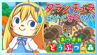 [LIVE] 【あつまれどうぶつの森】タランチュラ捕獲だいさくせん！【水菜月夏希/あおぎり高校 Vtuber High School】