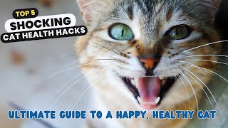 Top 5 Shocking Cat Health Hacks | Ultimate Guide to a Happy, Healthy Cat