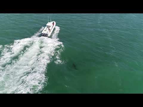 Video: 8 Wunderbare Möglichkeiten, Die Strände Von Fort Myers Und Sanibel Zu Zweit Zu Genießen