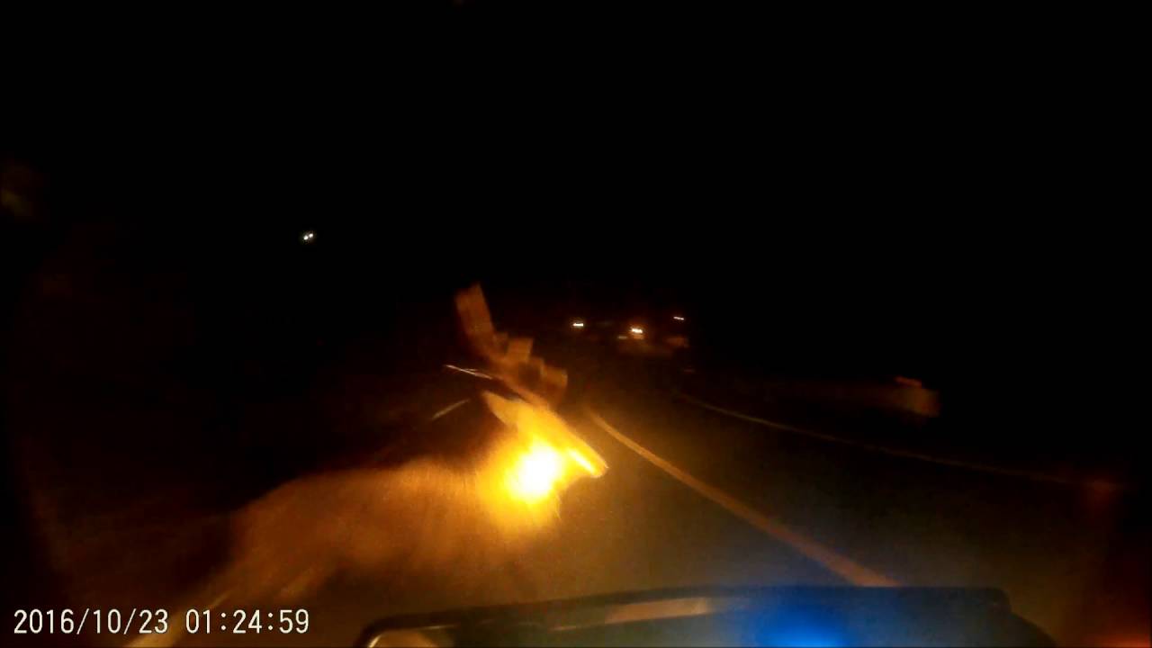 道志みちにてバイクで鹿と衝突 Youtube