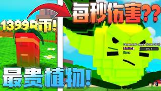 Roblox植物大战僵尸！商店里卖1399的植物！它竟然是全世界最贵的植物？！到底值不值得购买！？伤害竟然那么夸张？