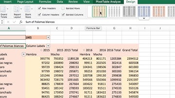 Cómo personalizar el diseño de tablas dinámicas - Ejemplo, Excel