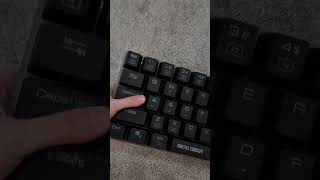 He didn't expect the second keyboard..