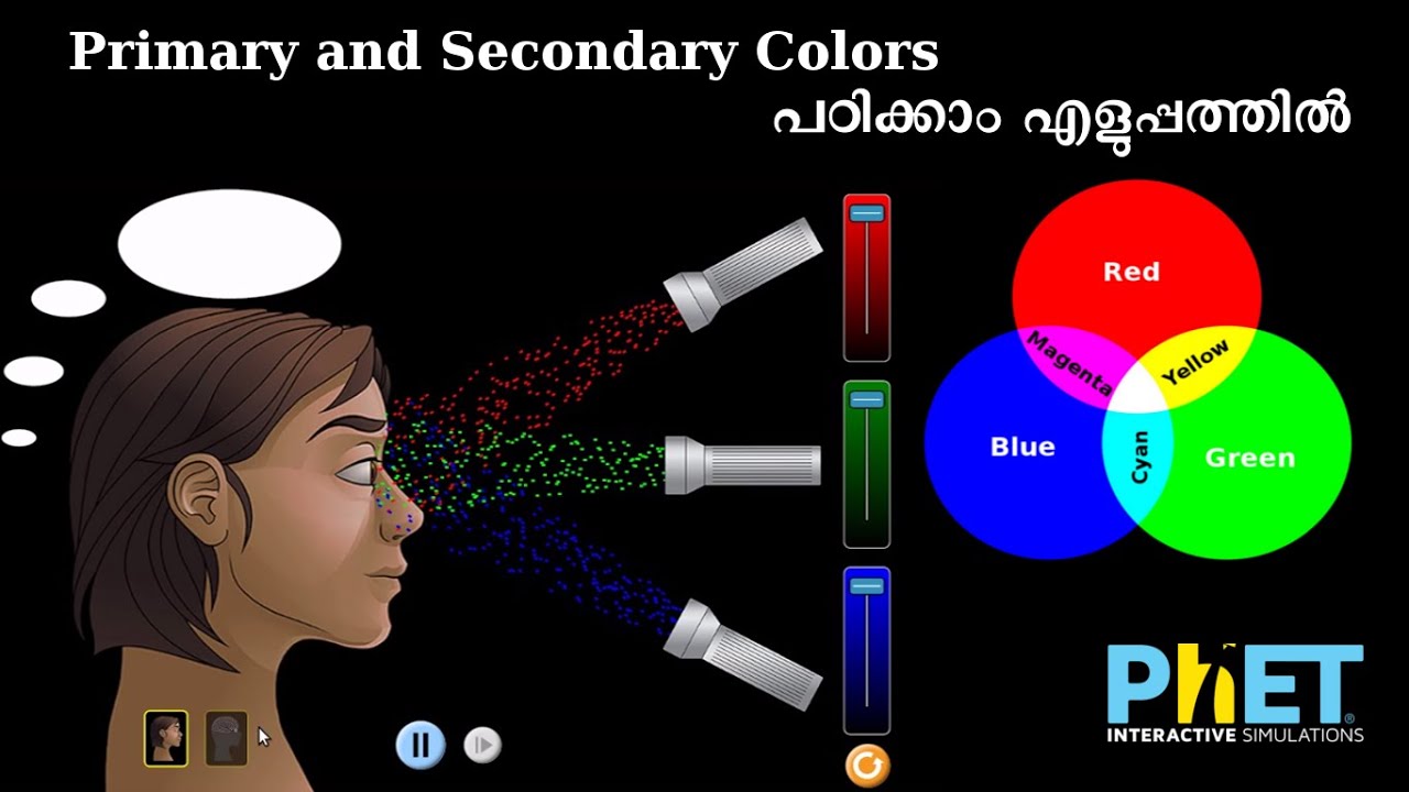 PhET Simulation  Color Vision  Easy Physics.  YouTube