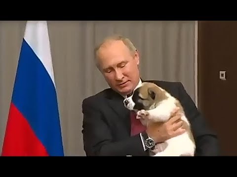 Бердымухамедов подарил Путину алабая по кличке Верный