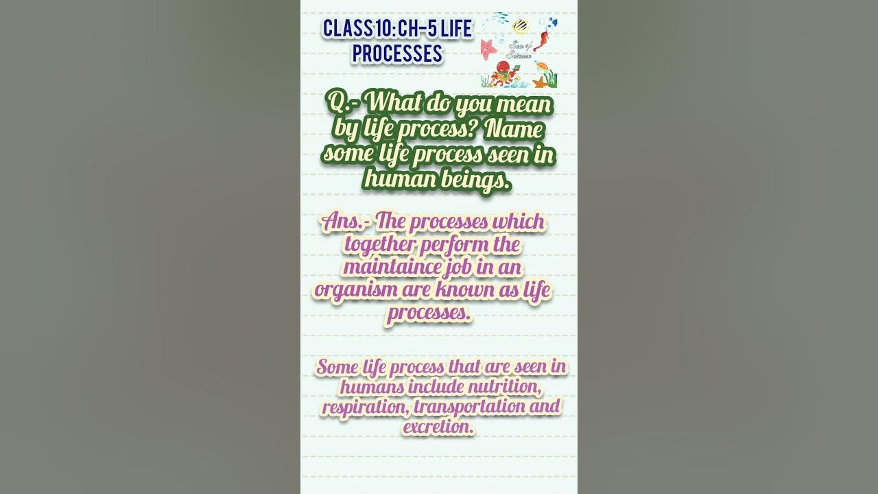 what-is-life-process-life-process-ncert-chapter-5-class-10