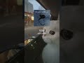 Subscribe for daily playlist recommendations!