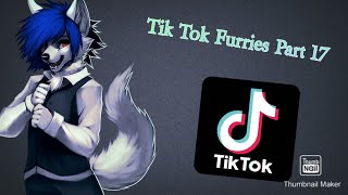 Tik Tok Furries Part 17