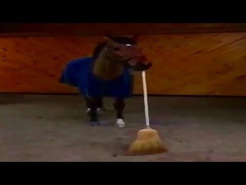 JANITOR JUAN