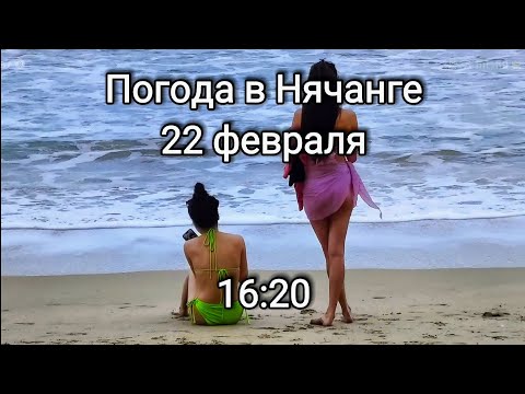 Погода в Нячанге. 22 февраля 2023