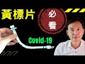 (冠肺36)[黃標片]Dr.Rex告訴你鮮為人知的新冠肺炎資訊(中文/EngSub)