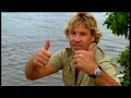 Steve's Favorite Creatures of SEASON 6 | The Crocodile Hunter | Animal Planet